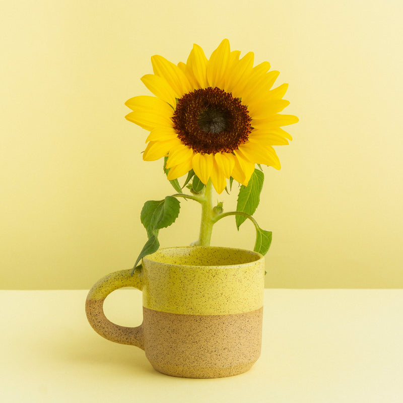 Caneca serena de cerâmica - 300ml