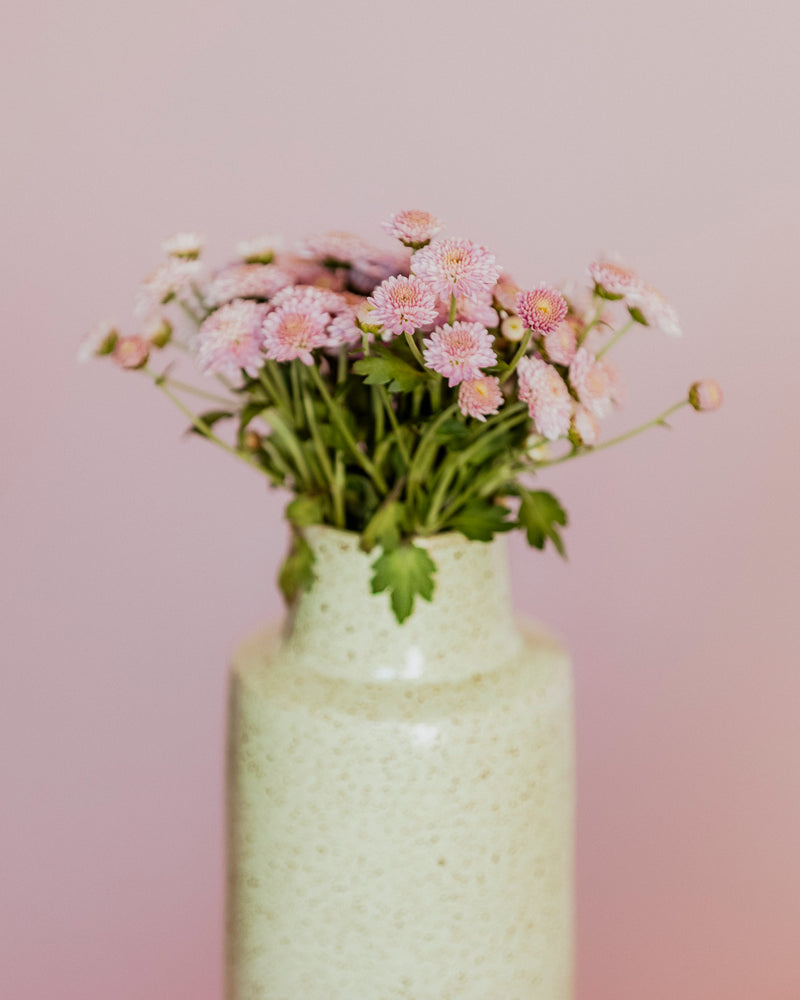Kit Moringa de Cerâmica